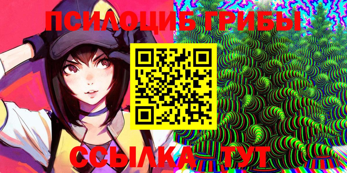 Галлюциногенные грибы Psilocybe  Вход с VPN  Томск 