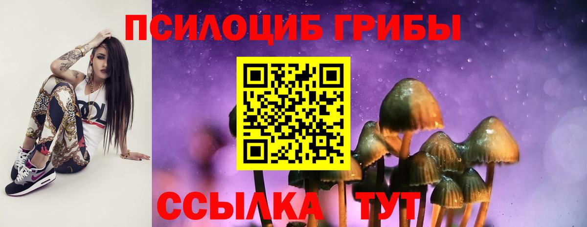 Галлюциногенные грибы мухоморы Томск